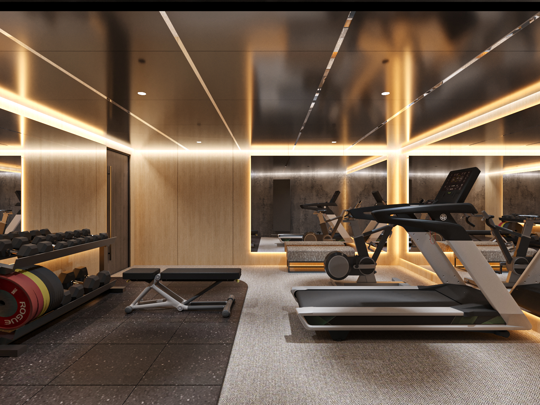ATHENA PREMIUM_GYM 1