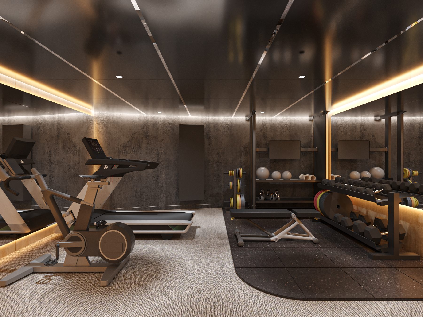 ATHENA PREMIUM_GYM 2